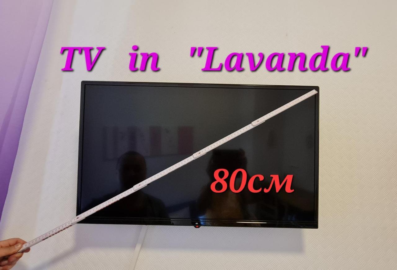 Elena Flat Lavendel Duisburg Zentrum Εξωτερικό φωτογραφία